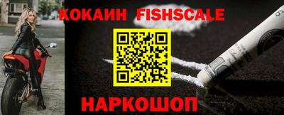 крисы Можга