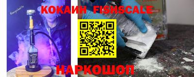 крисы Можга
