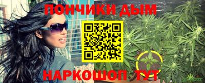 крисы Можга