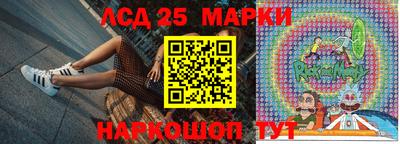 крисы Можга