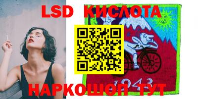 крисы Можга