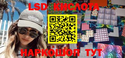 крисы Можга