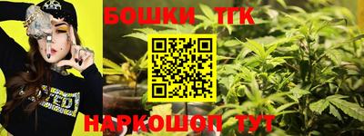 крисы Можга