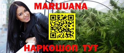крисы Можга