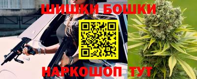 крисы Можга