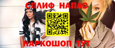 крисы Можга