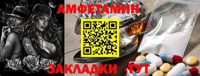 крисы Можга