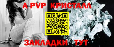 крисы Можга