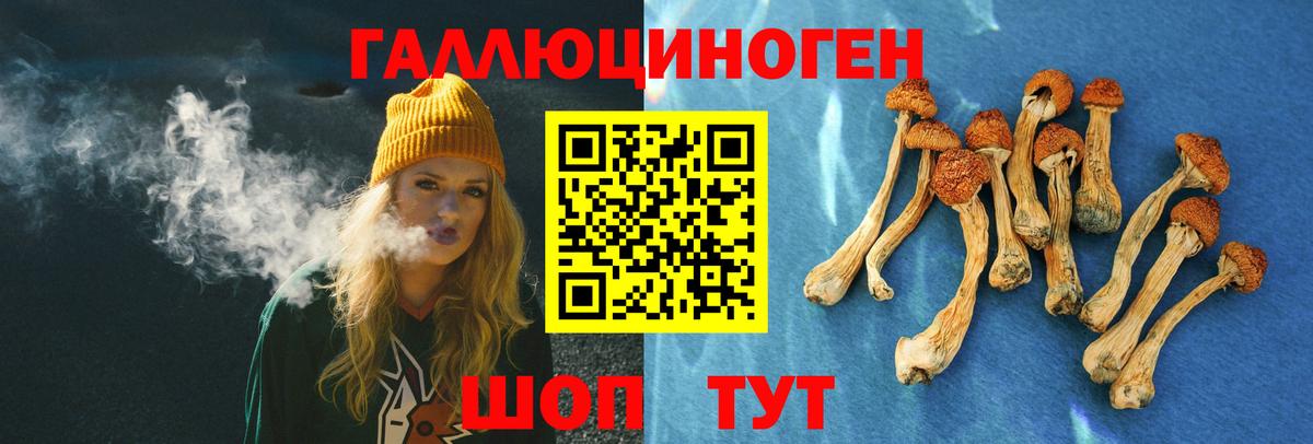 Соль-Илецк  Галлюциногенные грибы Psilocybine cubensis  Вход с VPN 