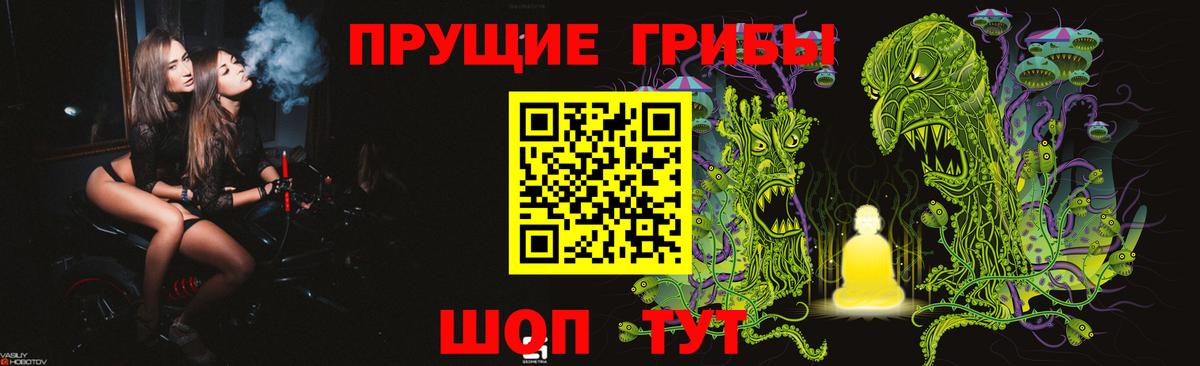 Галлюциногенные грибы Psilocybe Соль-Илецк