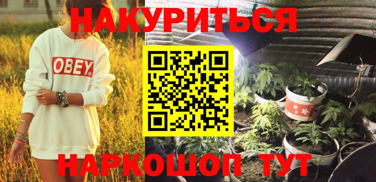 Марихуана Bruce Banner  Бошки марихуана тримм  Соль-Илецк  Вход с VPN  Шишки марихуана VHQ 